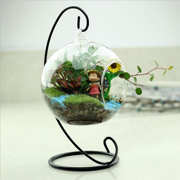 Transparent Glass Round Flower Plant